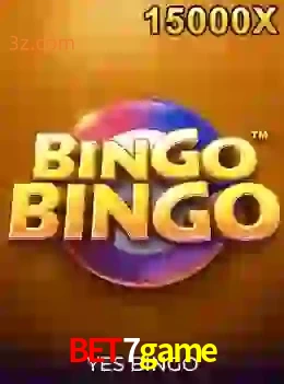 bingobingo